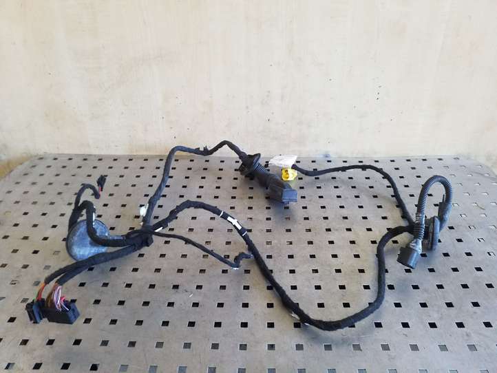 Audi Q5 (2008 - 2012)  8R0971030C Проводка передних дверей