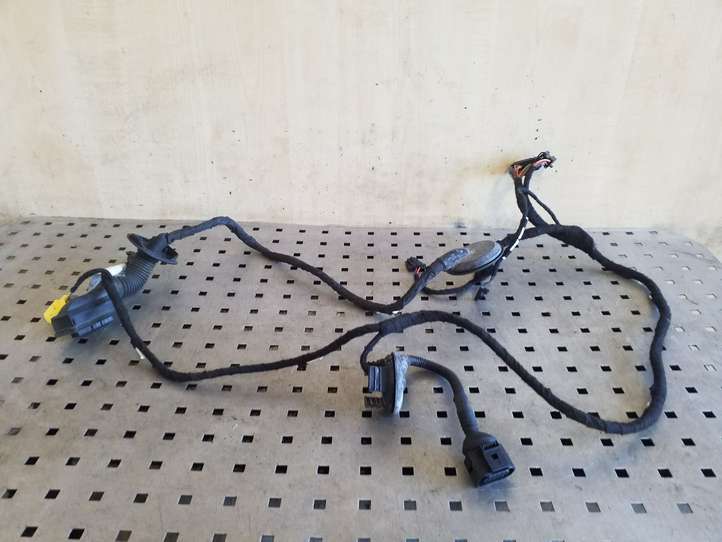 Audi Q5 (2008 - 2012)  8R0971029C Проводка передних дверей