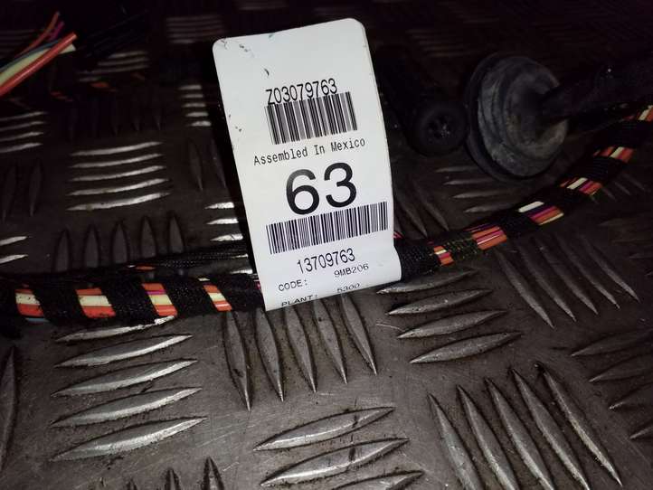 Mercedes-Benz ML W164 (2005 - 2011)  13709763 Проводка передних дверей