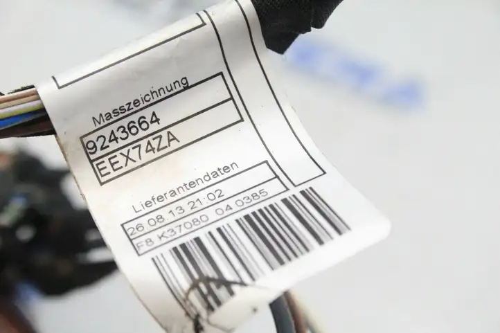 BMW X3 F25 (2010 - 2017) 9243667 Проводка задней двери — фото 3