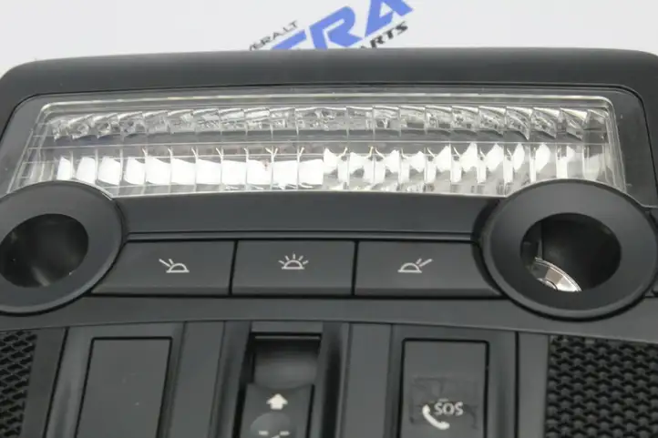 BMW X5 E70 (2006 - 2013) 9173793 Передняя подсветка — фото 3