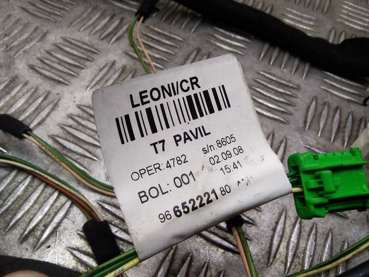 Peugeot 308 (2007 - 2013)  9665222180 Другой проводник