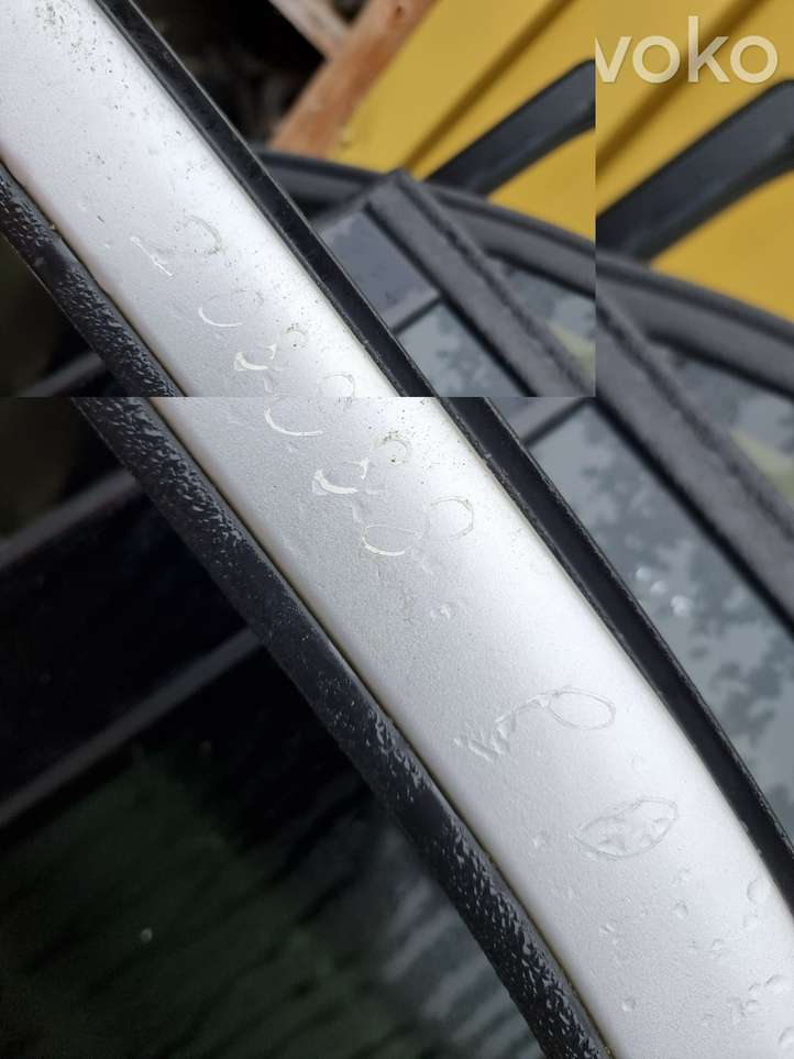 Suzuki Ignis (2003 - 2008)   Дверь