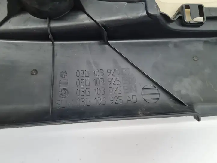 Volkswagen Golf V (2003 - 2009) 03G103925 Крышка двигателя декоративная — фото 2