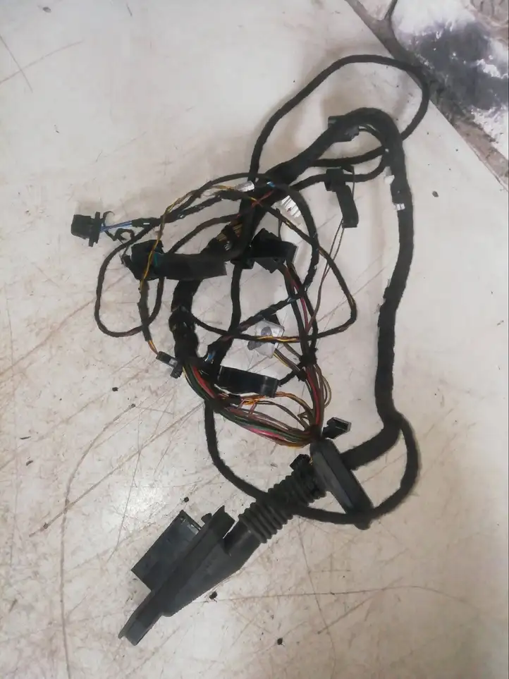 Land Rover Range Rover (2005 - 2009)  8369655 Проводка задних дверей