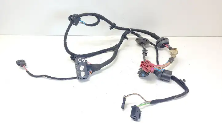 Volkswagen PASSAT B5.5 (2001 - 2005)  ZSB1J0359383 Проводка задних дверей