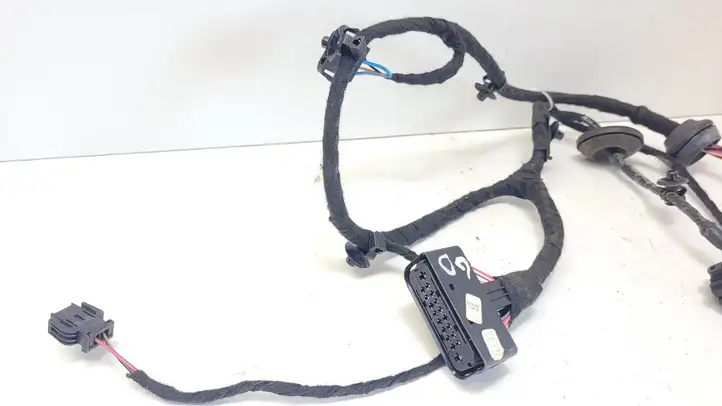 Volkswagen PASSAT B5.5 (2001 - 2005)  ZSB1J0359383 Проводка задних дверей