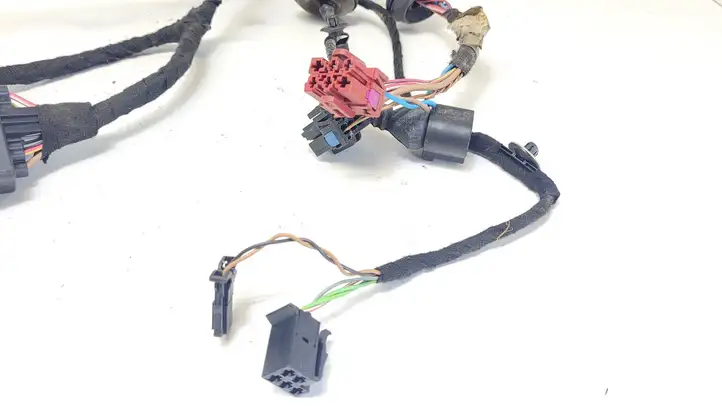 Volkswagen PASSAT B5.5 (2001 - 2005)  ZSB1J0359383 Проводка задних дверей