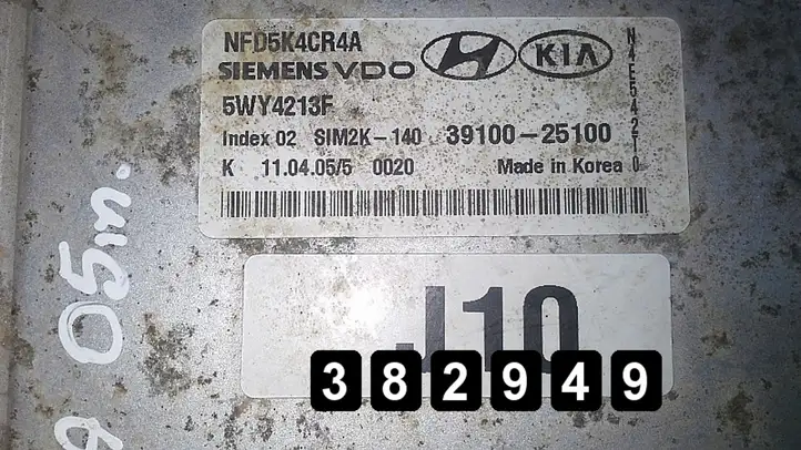 Hyundai Sonata (2003 - 2007) 3910025100 Блок управления двигателем (ЭБУ) — фото 3
