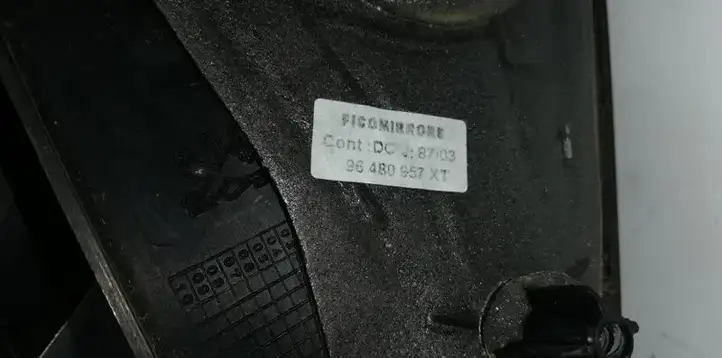 Peugeot 206 (1998 - 2012) Боковое зеркало с электроприводом — фото 5
