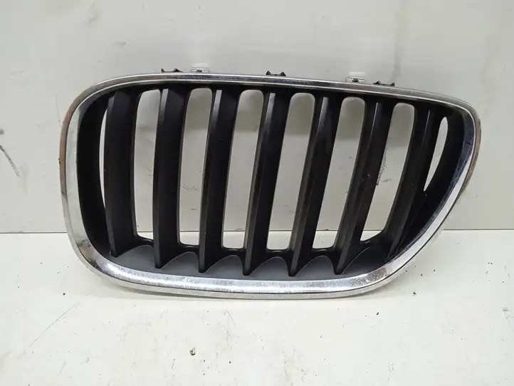 BMW X5 E53 (1999 - 2006) 51137124815 Верхняя решетка радиатора — фото 1