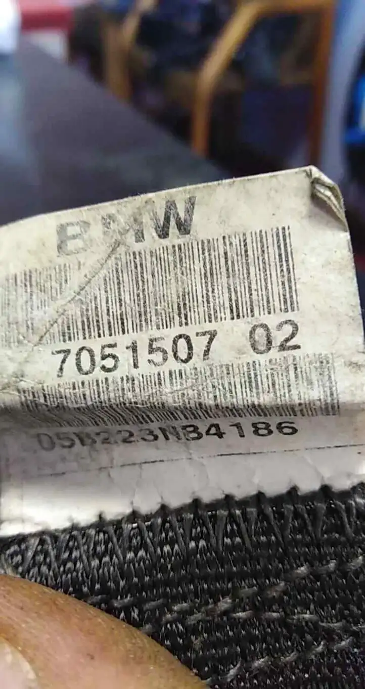 BMW X5 E53 (1999 - 2006) 7051507 Задний ремень безопасности — фото 3