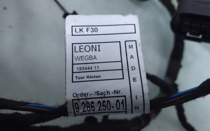 BMW 3 F30 F35 F31 (2012 - 2018) 9286210 Проводка задней двери — фото 2