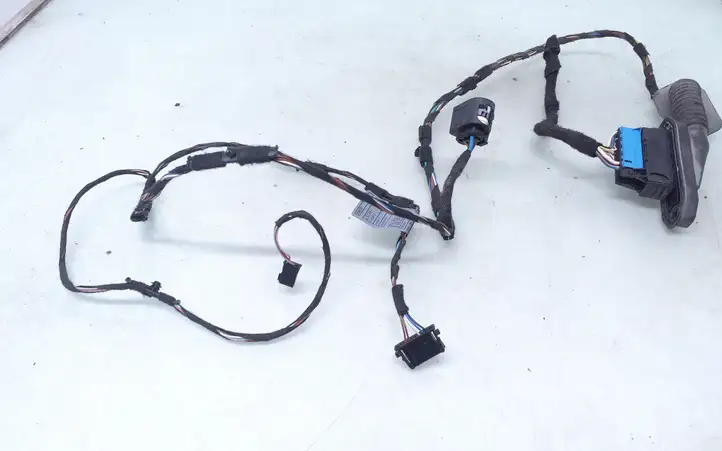 BMW 3 E90 E91 (2005 - 2012) 6938225 Проводка задней двери — фото 2