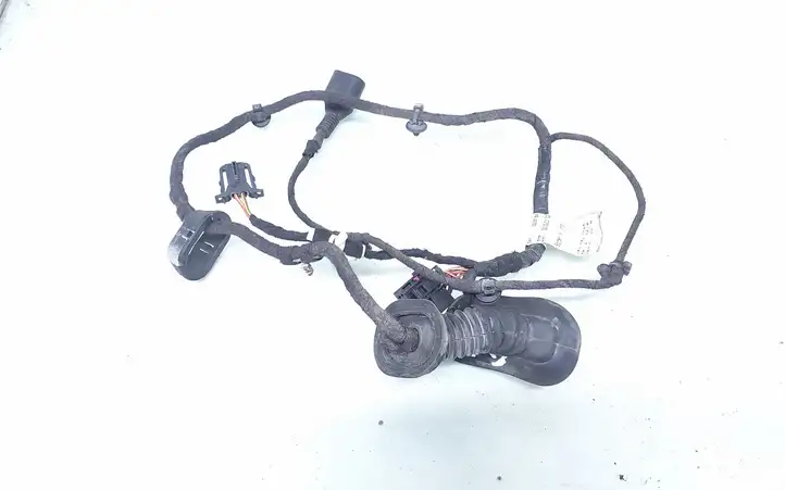 Audi A4 S4 B6 8E 8H (2000 - 2006) 8E0971687E Проводка задней двери — фото 1