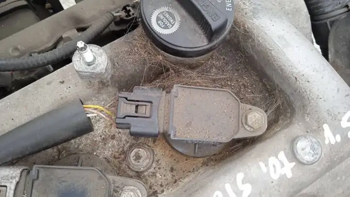 Toyota Yaris (2005 - 2009) 9091902240 Катушка зажигания — фото 1