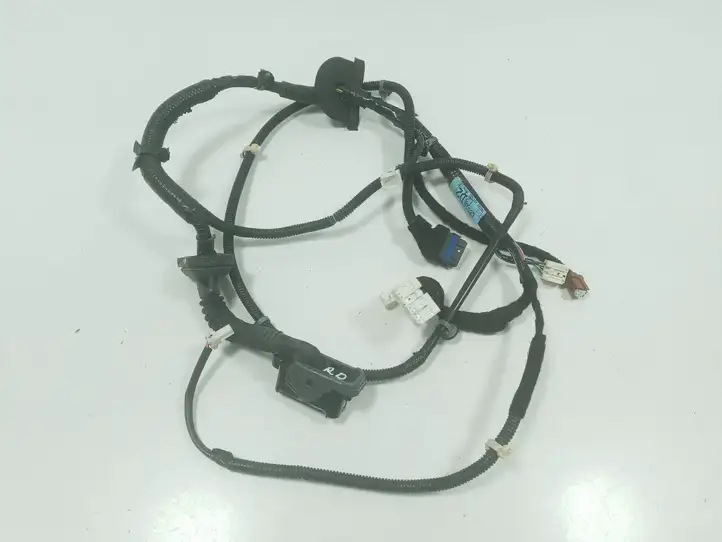 Nissan Murano Z50 (2002 - 2008) 6020900016D2 Проводка передней двери — фото 1
