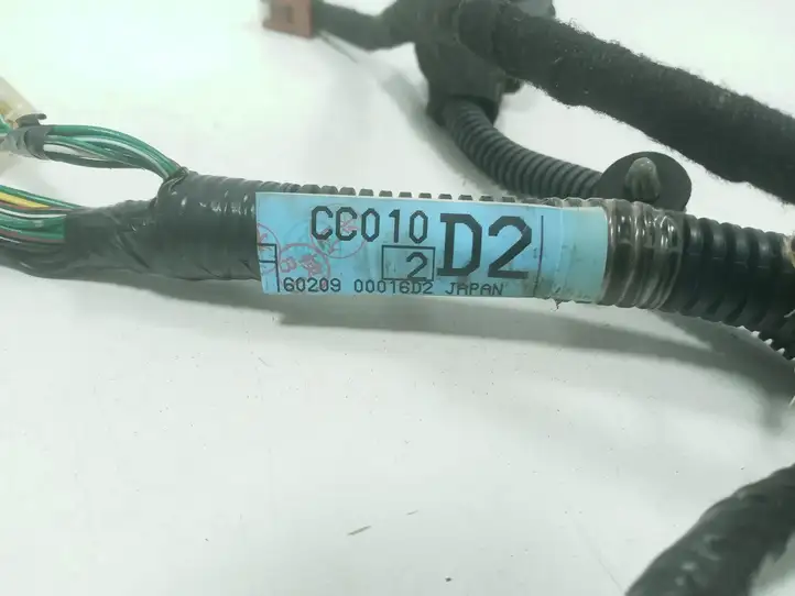 Nissan Murano Z50 (2002 - 2008) 6020900016D2 Проводка передней двери — фото 6