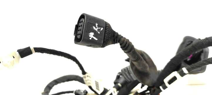 Audi A6 (2008 - 2011)  4F1971030AD Проводка передних дверей