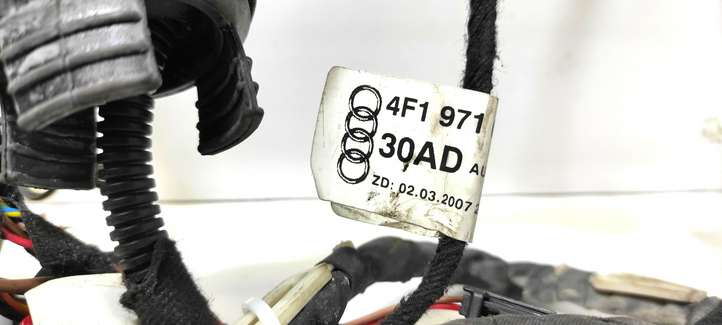 Audi A6 (2008 - 2011)  4F1971030AD Проводка передних дверей