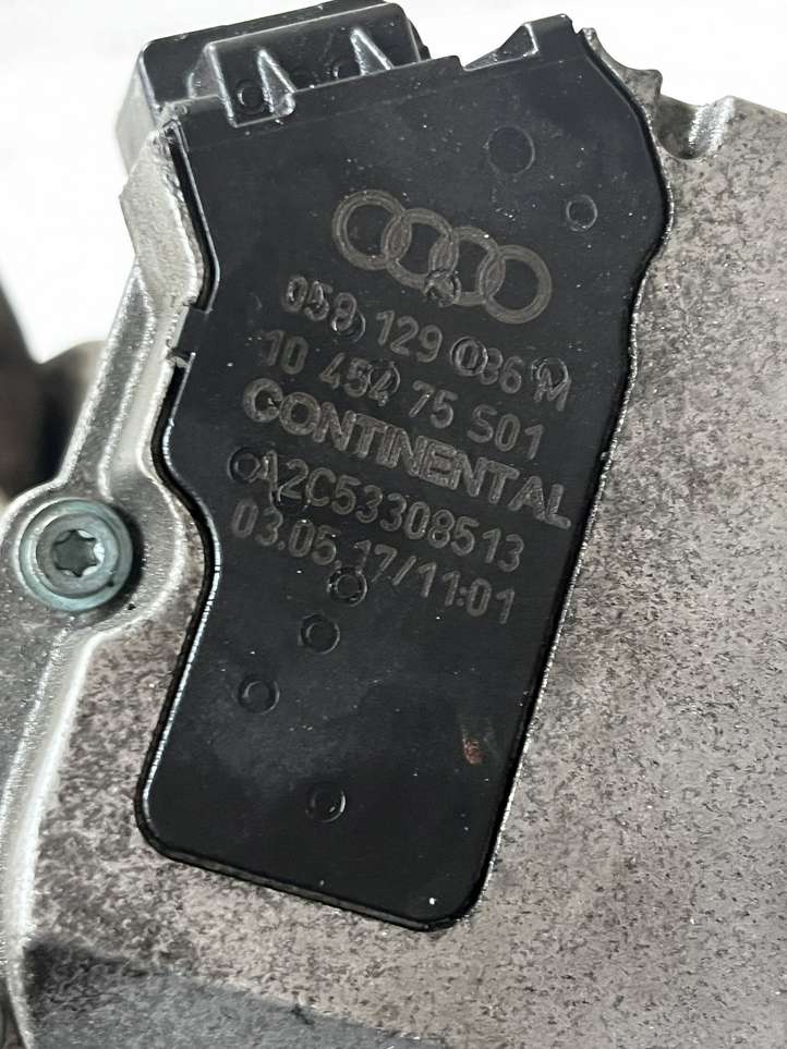 Audi A6 (2004 - 2008)  059129086M Двигатель заслонки