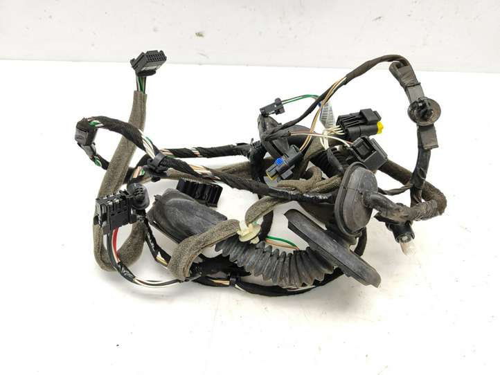 Renault Laguna (2007 - 2015)  241243343R Проводка передних дверей