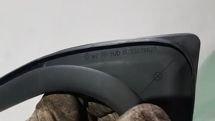 Dacia Duster (2017 - ) 808205813R Другая часть кузова — фото 2