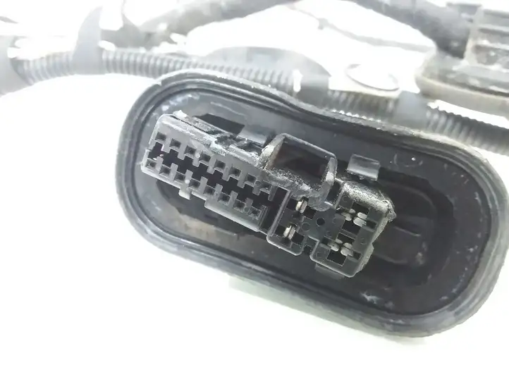 Audi A3/S3 8P (2004 - 2008)  8P4971687R Проводка задних дверей