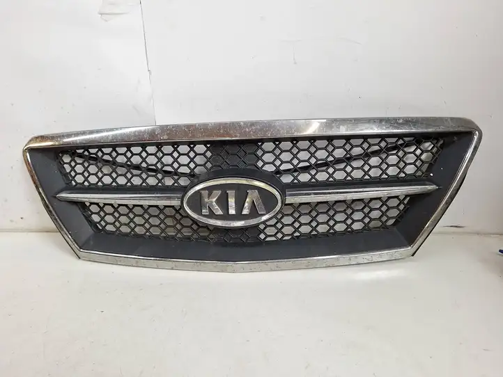 Kia Sorento (2002 - 2006) Верхняя решетка радиатора — фото 1