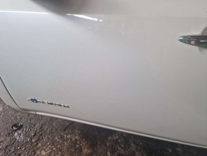 Nissan Leaf I (ZE0) (2010 - 2017)   Дверь