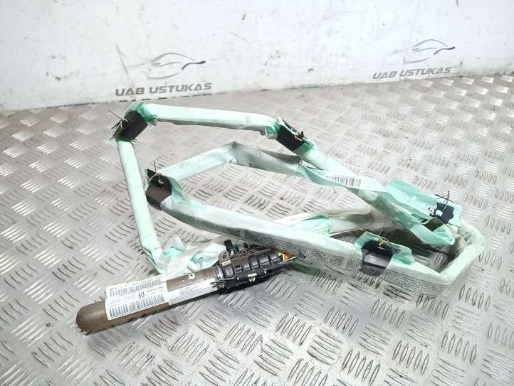 Volkswagen PASSAT B7 (2011 - 2014)  3C0880742F Звукоизоляция крыши