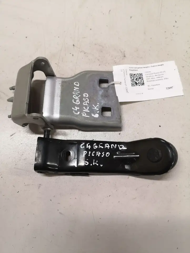 Citroen C4 I Picasso (2006 - 2013) 3000355700A Петли крышки багажника — фото 1