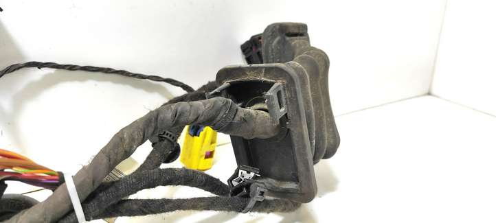 Volkswagen PASSAT B6 (2005 - 2010)  3C1971121AE Проводка передних дверей