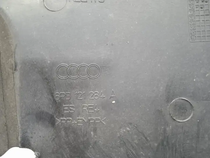 Audi A3/S3 8P (2004 - 2008) 8P3121284 Облицовка радиатора — фото 3