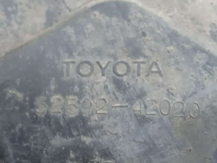 Toyota RAV 4 (XA20) (2000 - 2005)  5259242020 Защита дна заднего бампера