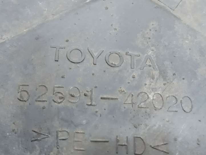 Toyota RAV 4 (XA20) (2000 - 2005)  5259142020 Защита дна заднего бампера