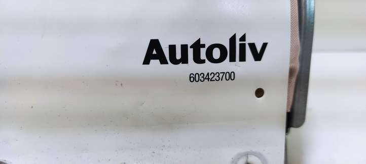 Volvo XC90 (2006 - 2014)  606833300 Подушка безопастности пассажира