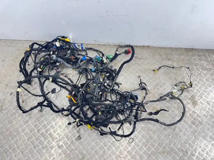 Fiat (2018 - ) 0521156020E Прочая электропроводка — фото 1