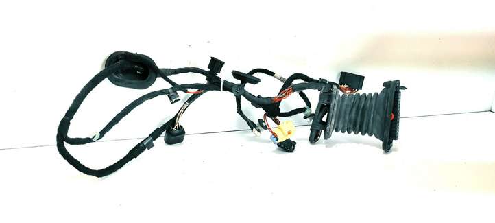 Volkswagen PASSAT B7 (2011 - 2014)  3C0971615 Проводка передних дверей