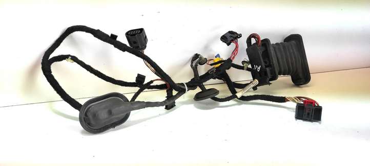 Volkswagen PASSAT B7 (2011 - 2014)  3C0971615 Проводка передних дверей