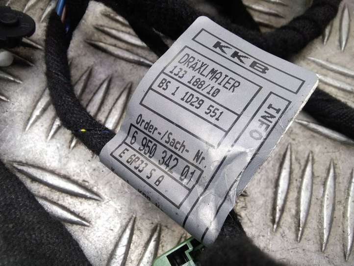 BMW 7 E65 E66 (2001 - 2008)  6950342 Проводка передних дверей