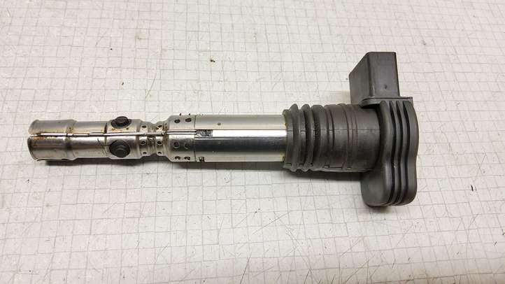 Volkswagen PASSAT B5.5 (2001 - 2005)  0986221024 Реле высокого напряжения (катушка зажигания, бобина)