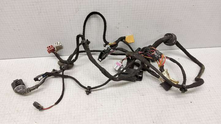 Volkswagen PASSAT B5.5 (2001 - 2005)  3B0971120CK Проводка передних дверей