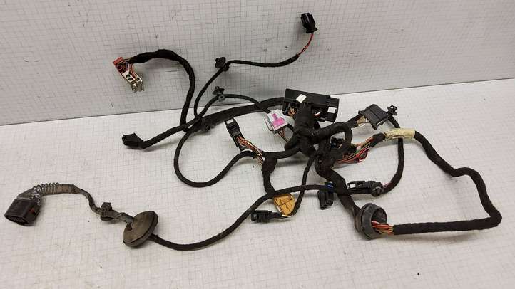 Volkswagen PASSAT B5.5 (2001 - 2005)  3B0971120CK Проводка передних дверей