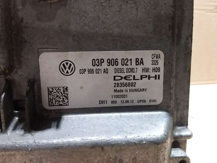 Skoda Roomster (2010 - 2015)  03P906021BA Блок управления двигателя