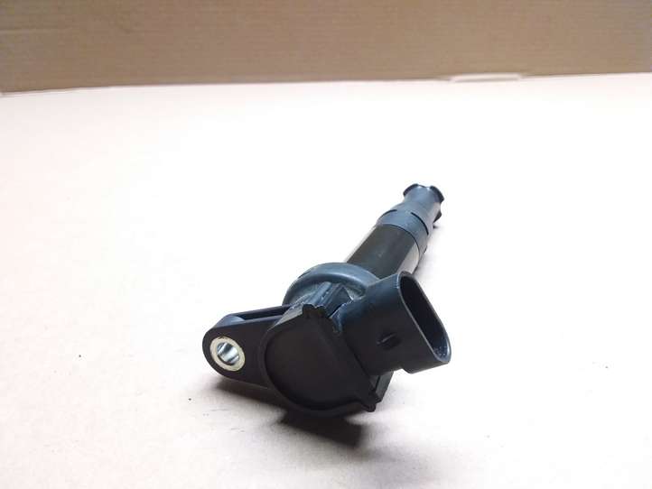 Hyundai Santa Fe (2005 - 2009)  273013E100 Реле высокого напряжения (катушка зажигания, бобина)