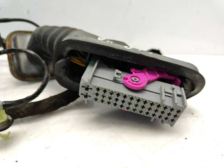 Opel Astra (2009 - 2012)  13336686 Проводка передних дверей