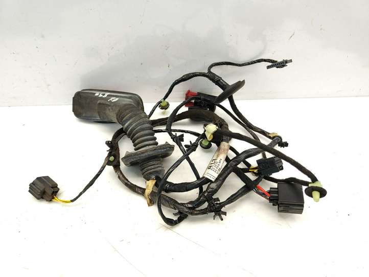 Opel Astra (2009 - 2012)  13336686 Проводка передних дверей