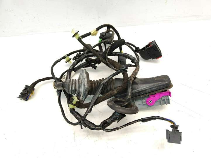 Opel Astra (2009 - 2012)  13336677 Проводка передних дверей