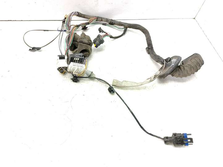 Renault Laguna (2001 - 2005)  8200308981 Проводка передних дверей